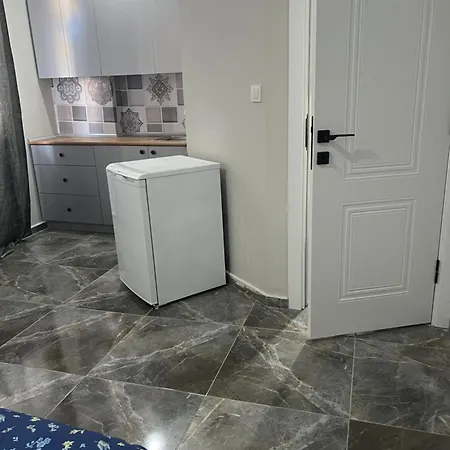 公寓式酒店 Zerya 伊斯坦布尔